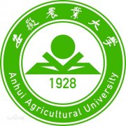 2023�����r�I��W��ʡ�ȡ�֔������� ���ƌ��I�����P�c