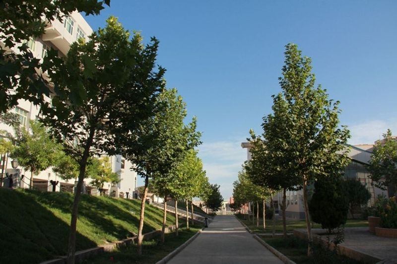 ��ʲ��W��ô�ӣ��ǎױ���