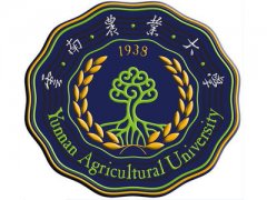 �����r�I��W�Ă����I��ţ���WУ��211����ȫ����������
