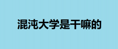 �����W�Ǹ���������C�����Æᣬ��ʲô��ô�����ϻ����W