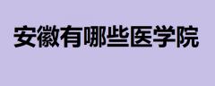 ��������Щ�t�WԺ��2023���������t�W�W����������Ϣ