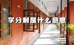 �W������ʲô��˼����W�W���ƺͷǌW���Ƶą^�e��ʲô